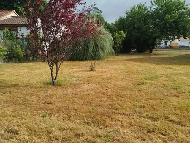 Terrain vente à Nantes, Corcoué-sur-logne