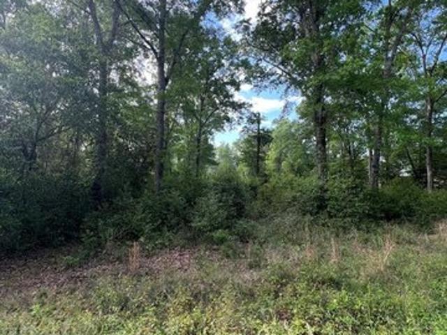 Land for sale in Cordele, Georgia