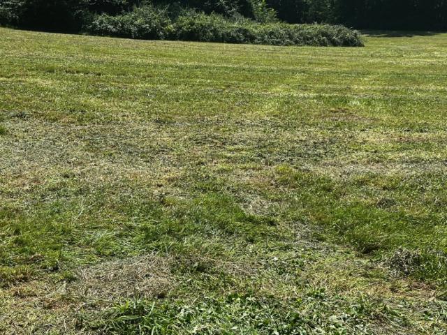 Terrain vente à Saintes, Corme-royal