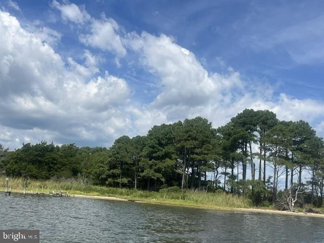 Land for sale in Bishopville, Worcester County