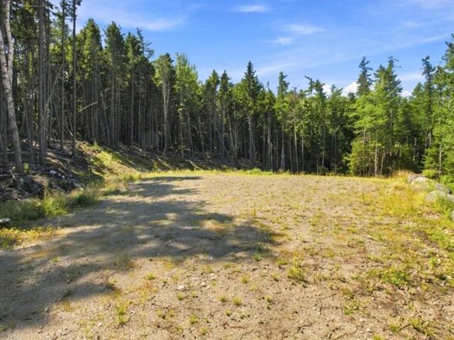 Land for sale in Machiasport, Maine