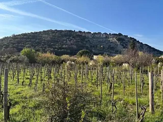 Terrain vente à Tournon-sur-Rhône, Cornas