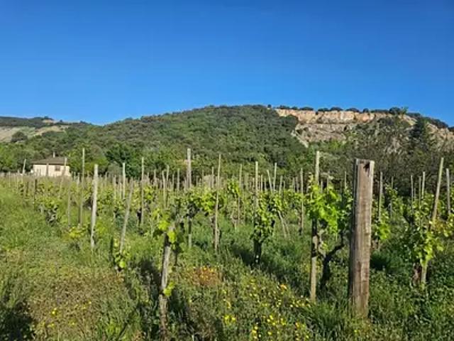 Terrain vente à Tournon-sur-Rhône, Cornas