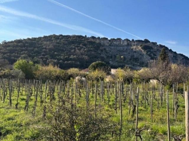Terrain vente à Tournon-sur-Rhône, Cornas
