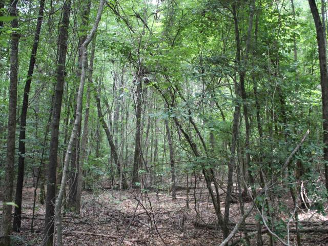 Land for sale in Ark