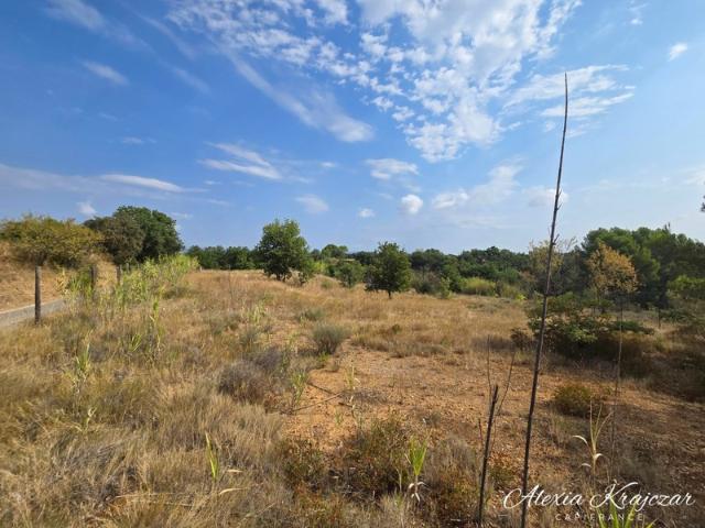 Terrain vente à Béziers, Corneilhan