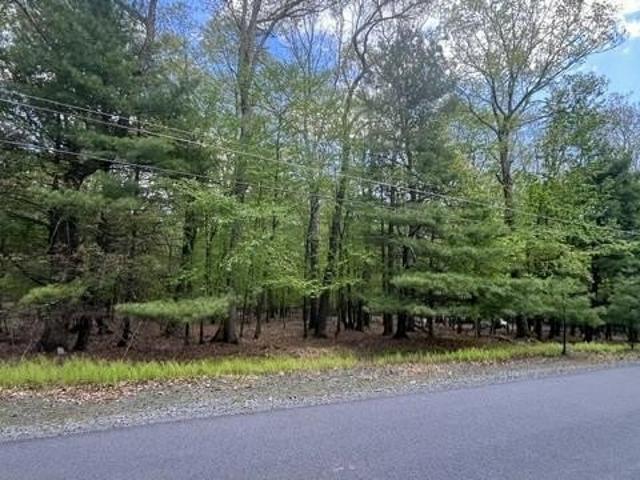 Land for sale in Milford, Pennsylvania