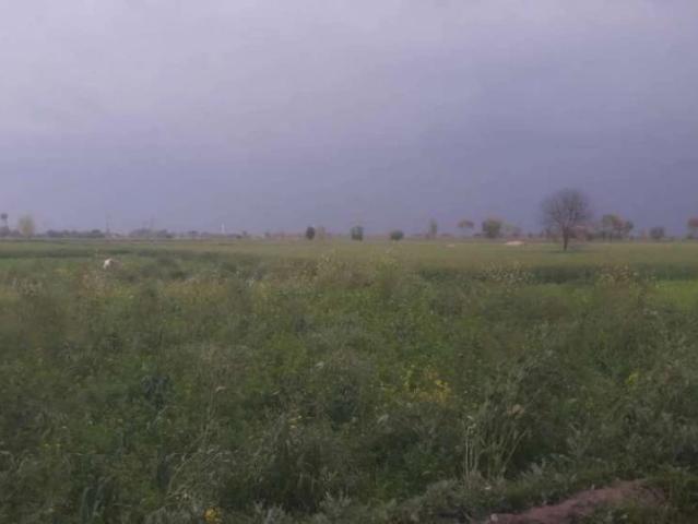 Land for sale in Chichawatni, Islamabad Capital Territory