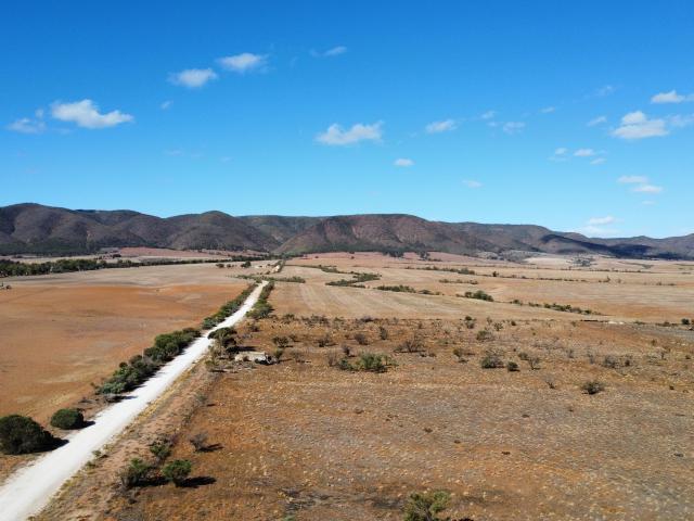 Property for sale in Napperby, South Australia