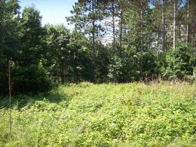 Land for sale in Juneau, Wisconsin