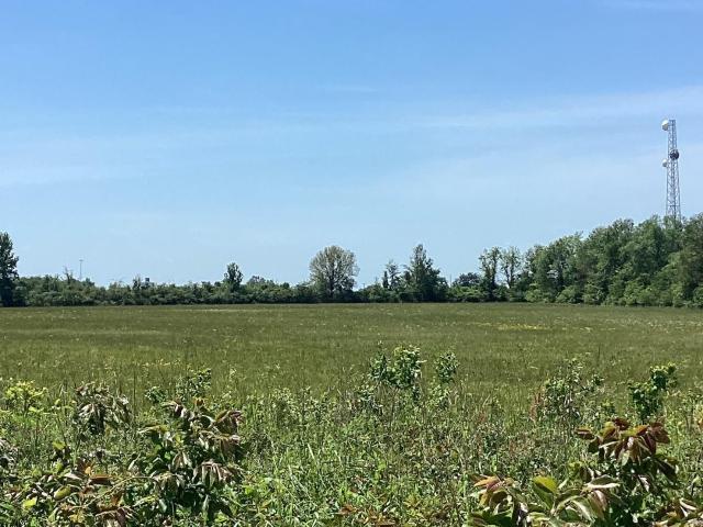 Land for sale in Ark