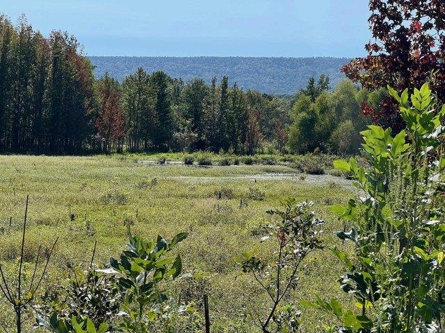 Land for sale in Ark
