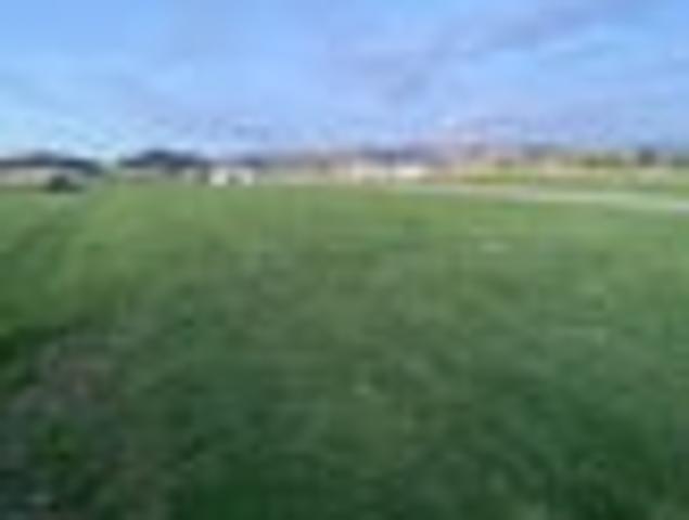 Land for sale in Horowhenua District