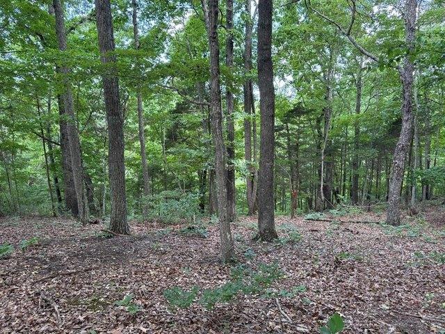 Land for sale in Tennessee