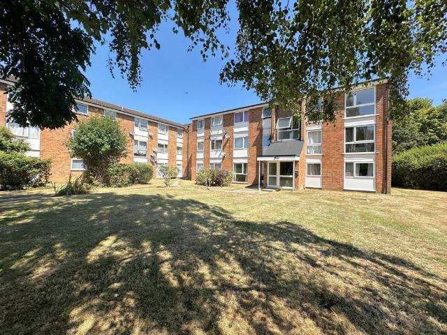 Apartment for rent in Chelmsford, Essex