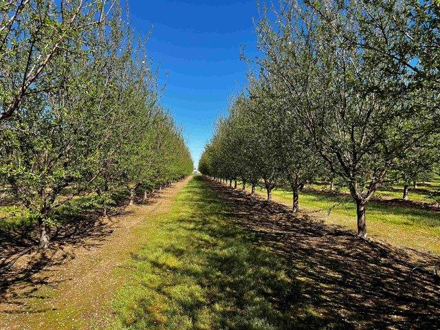 Farm for sale in Kansas