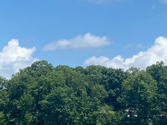 Land for sale in Memphis