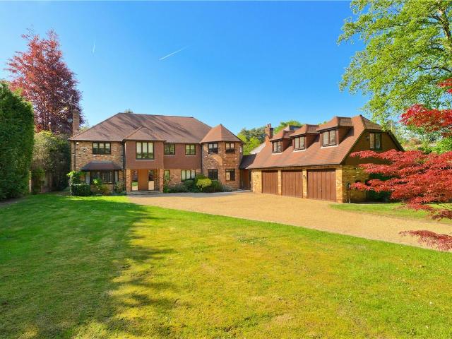 House for rent in Sunninghill and Ascot, South Ascot