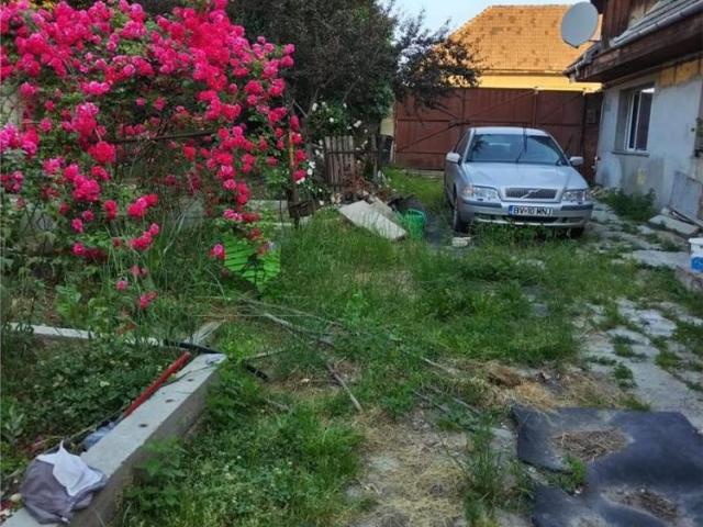 Casă închirieri în Brașov