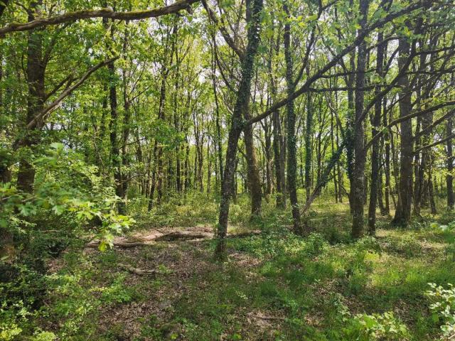 Appartement vente à Romorantin-Lanthenay, Loreux
