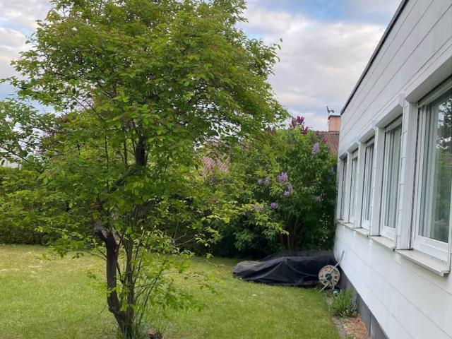 Apartment mieten in Eselsberg, Ulm