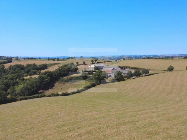 Maison vente à Millau, Réquista