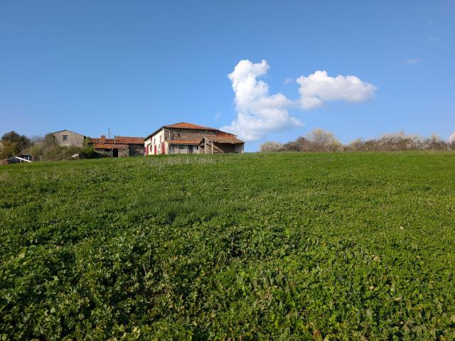 Ferme vente à Roanne, Balbigny
