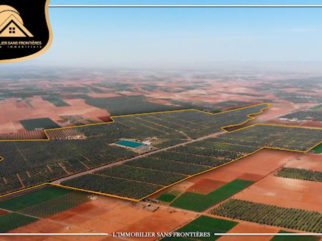 Propriété vente à L'Oriental