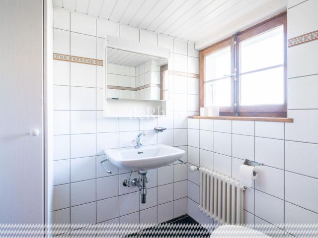 Immobilie kaufen in Waadt