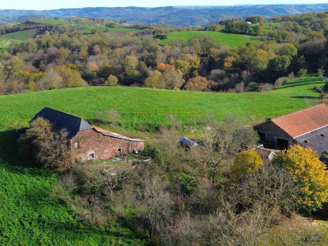 Maison vente à Saint-Cyprien-sur-Dourdou, Conques-en-Rouergue