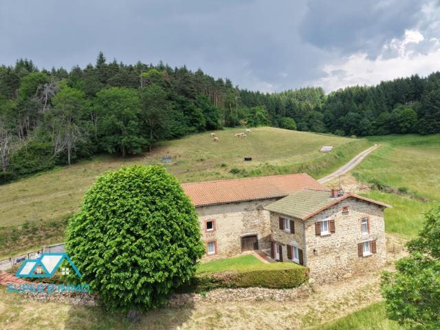 Maison vente à Brioude, Champagnac-le-vieux