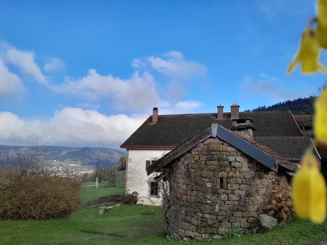 Ferme vente à Épinal, Le Val-d'ajol