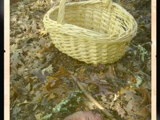 Casa en alquiler en La Carrera, Castilla y León