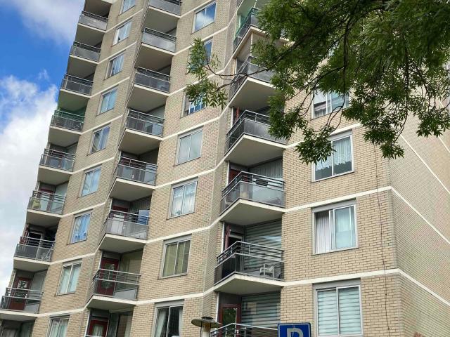 Appartement te huur in Hoornseveld, Zaandam