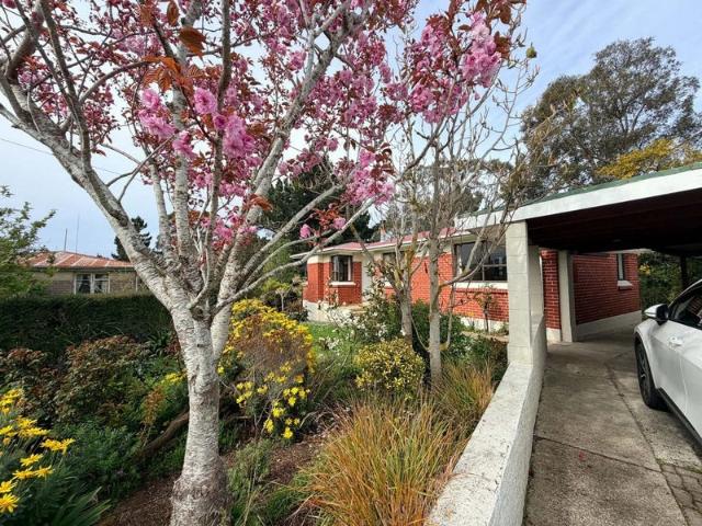House for rent in Saint Clair Park, Dunedin