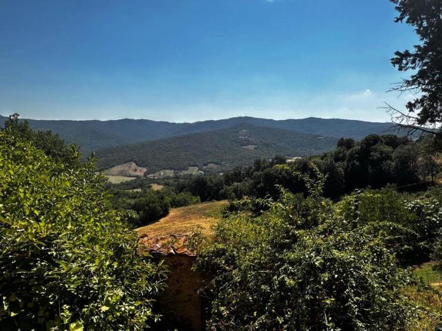 Rustico in vendita a Montecatini Val di Cecina, Pisa