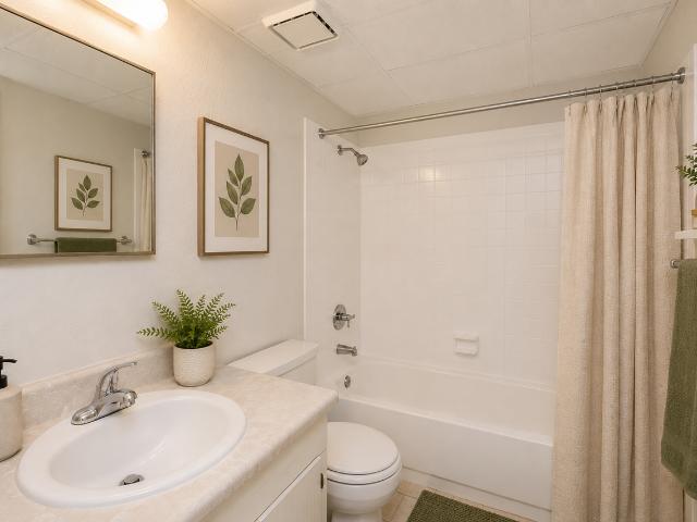 Apartment for rent in Florida