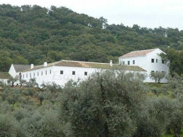Casa en alquiler en Sevilla