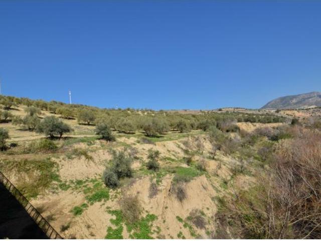 Local Comercial en venta en Pulianas, Rey Badis