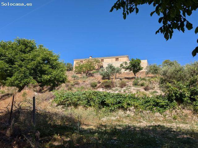 Local Comercial en venta en Arenas del Rey, Granada