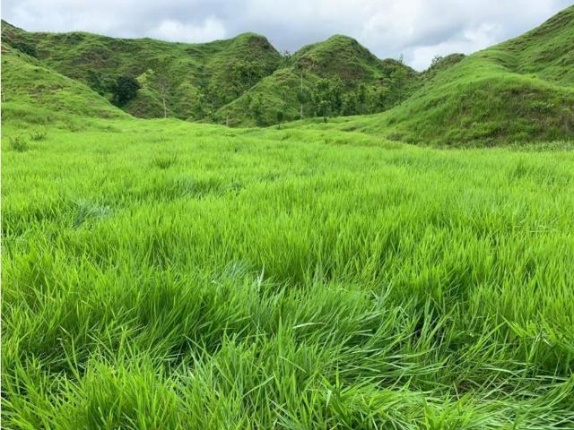 Finca en venta en Boyacá, Occidente