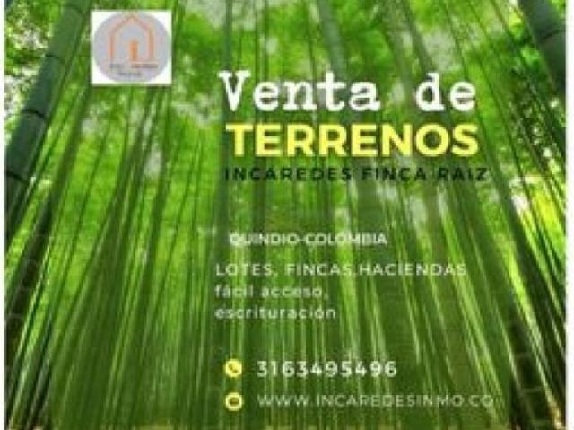 Finca en venta en Antioquia, San Carlos