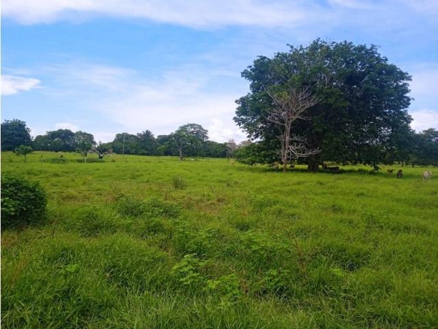 Cortijo de alto standing de 1000000 m2 en venta Santiago de Tolú, Colombia