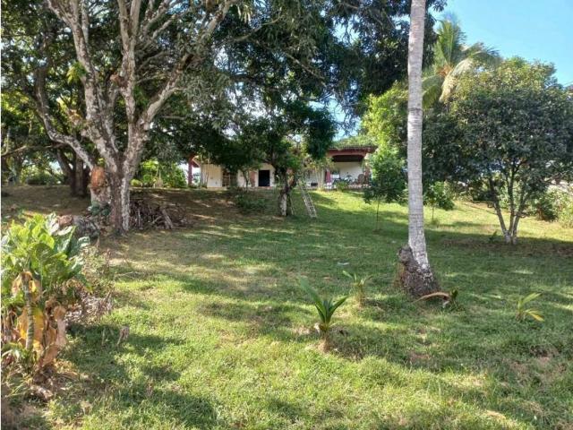 Cortijo de alto standing de 100500 m2 en venta Ciudad de Panamá, Panamá