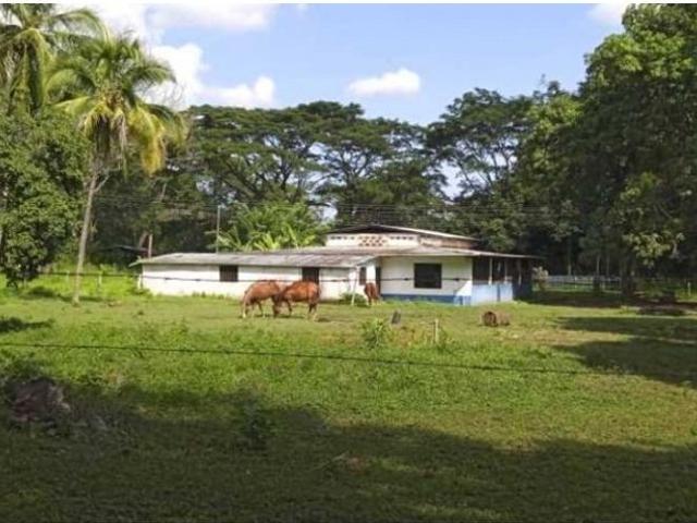 Propiedad en venta en Cojedes