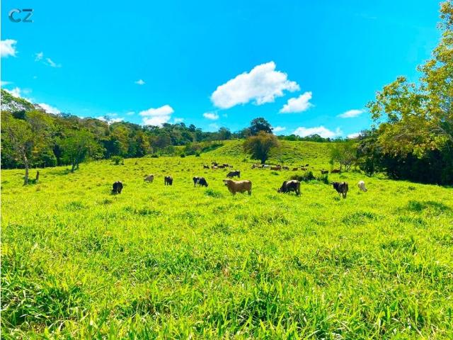 Cortijo de alto standing de 1100000 m2 en venta Cerro Punta, Provincia de Chiriquí