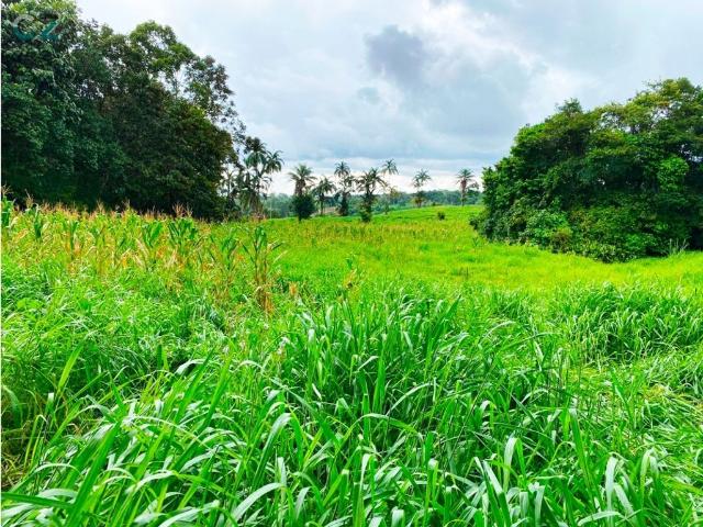 Cortijo de alto standing de 1100000 m2 en venta Cerro Punta, Provincia de Chiriquí