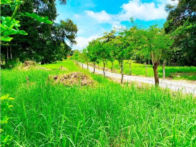 Cortijo de alto standing de 1100000 m2 en venta Cerro Punta, Provincia de Chiriquí