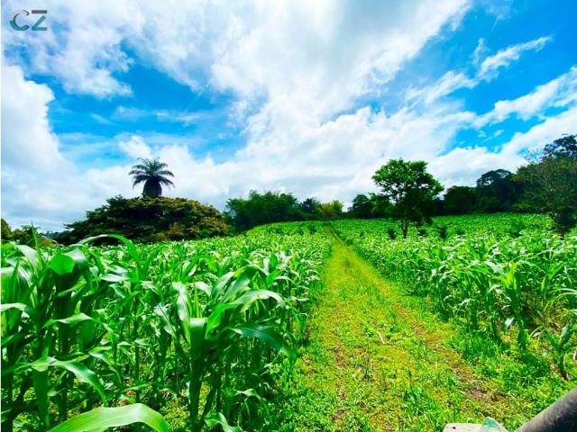 Cortijo de alto standing de 1100000 m2 en venta Cerro Punta, Provincia de Chiriquí