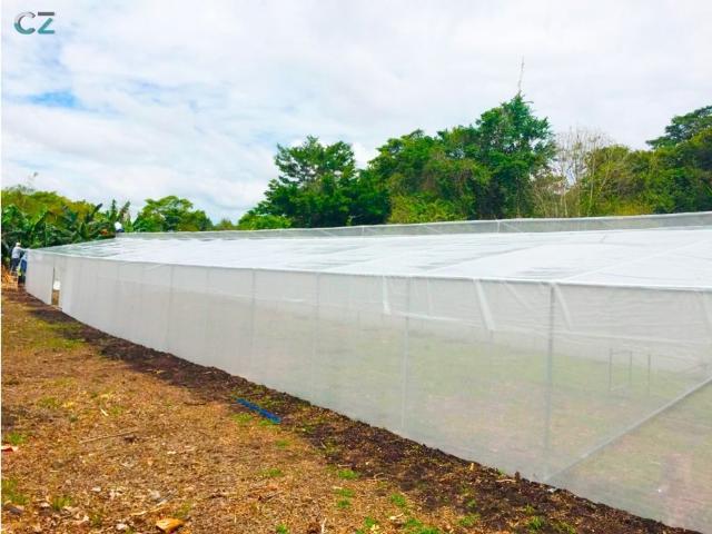 Cortijo de alto standing de 1100000 m2 en venta Cerro Punta, Provincia de Chiriquí